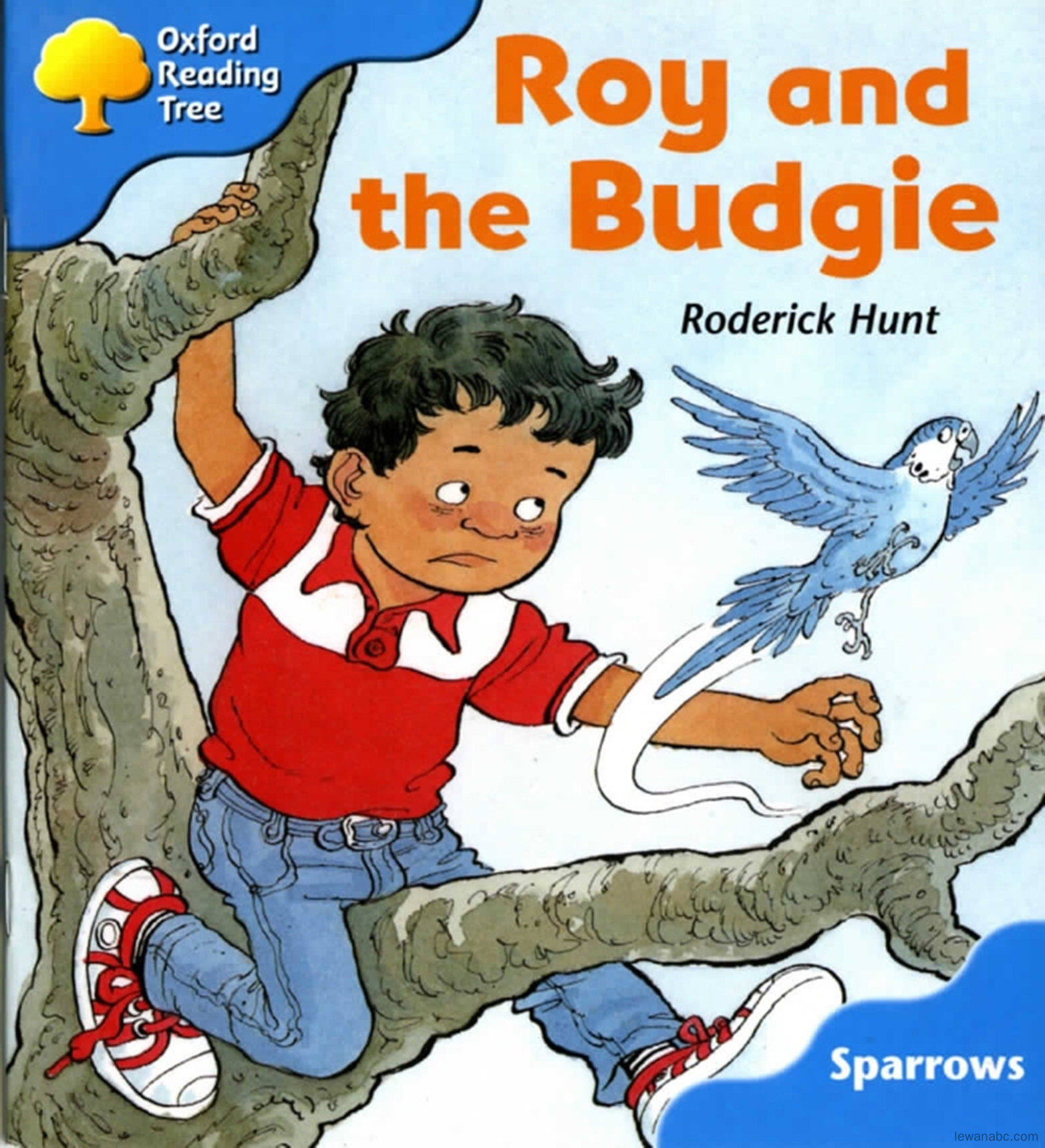 Roy and the Budgie绘本故事第2页