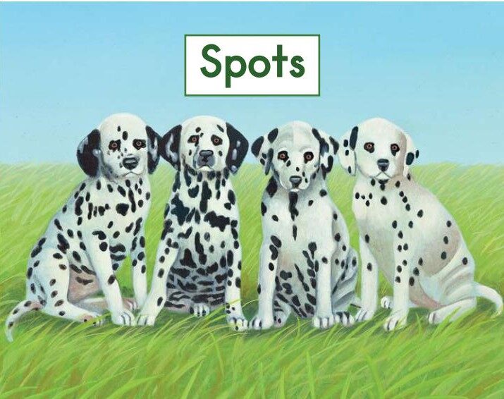 Spots绘本故事第2页