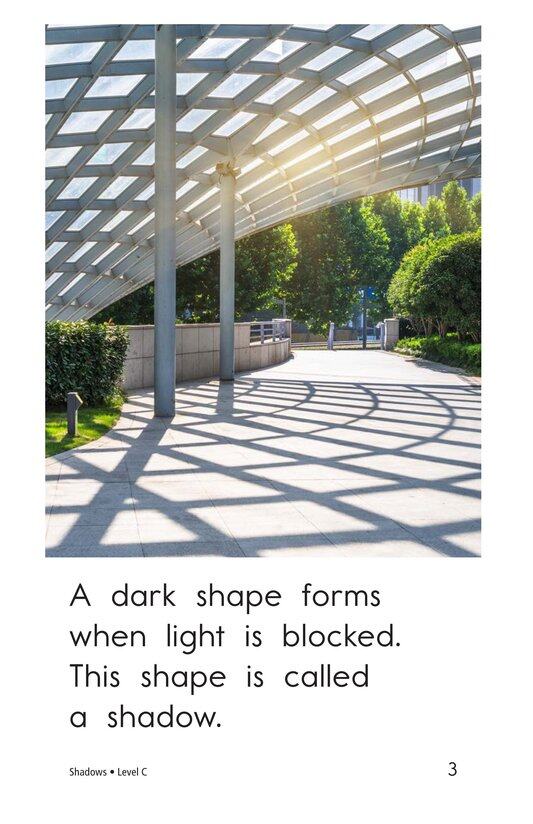 Shadows绘本故事第3页