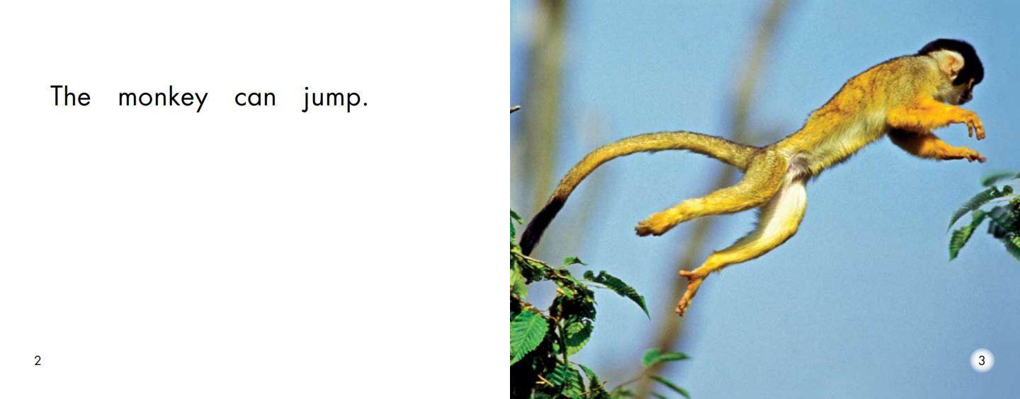 Monkey绘本故事第3页