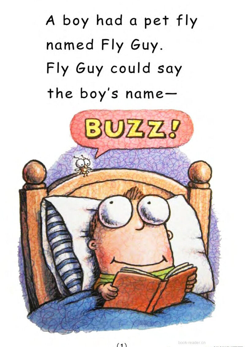 Buzz Boy And Fly Guy绘本故事第3页