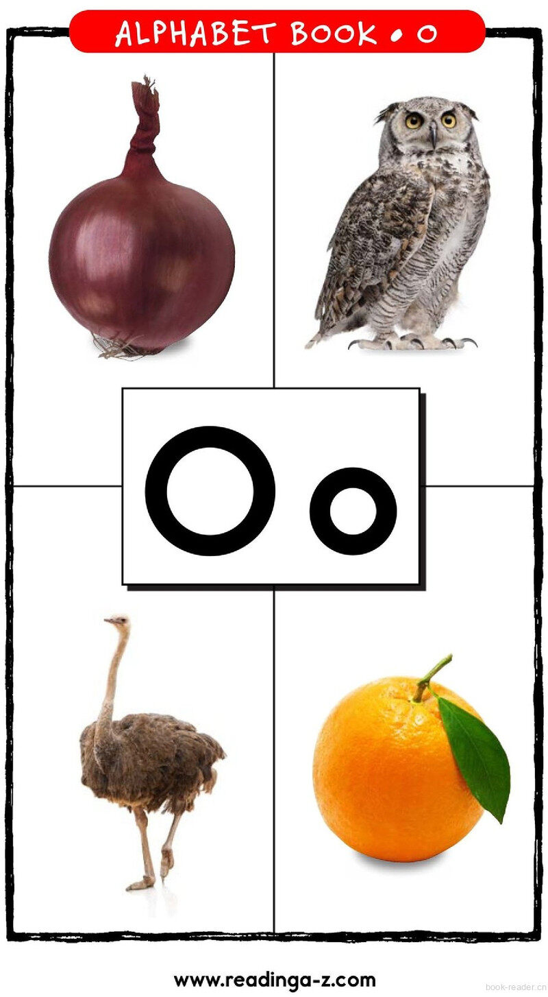 Letter O绘本故事第2页