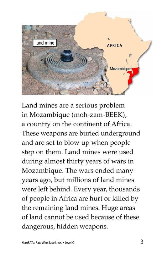 HeroRATs Rats Who Save Lives绘本故事第3页