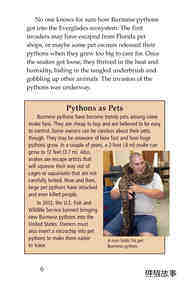 Invasion of the Pythons绘本故事第5页