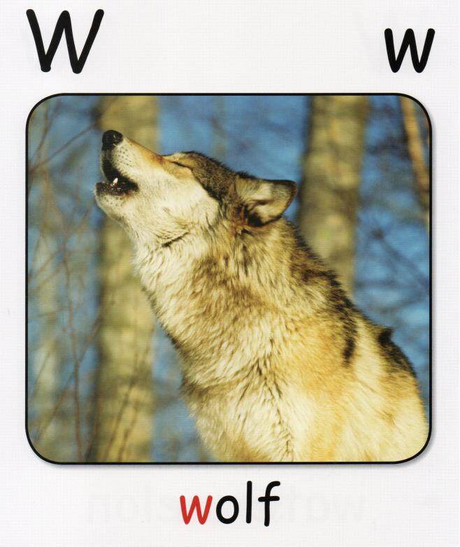 W绘本故事第4页