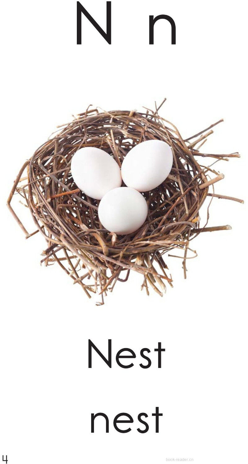 Letter N绘本故事第4页