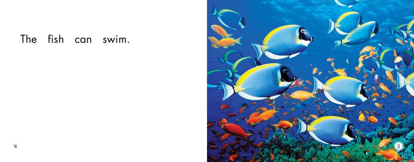 Swim绘本故事第4页