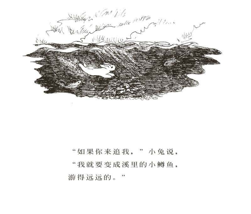 逃家小兔绘本故事第3页