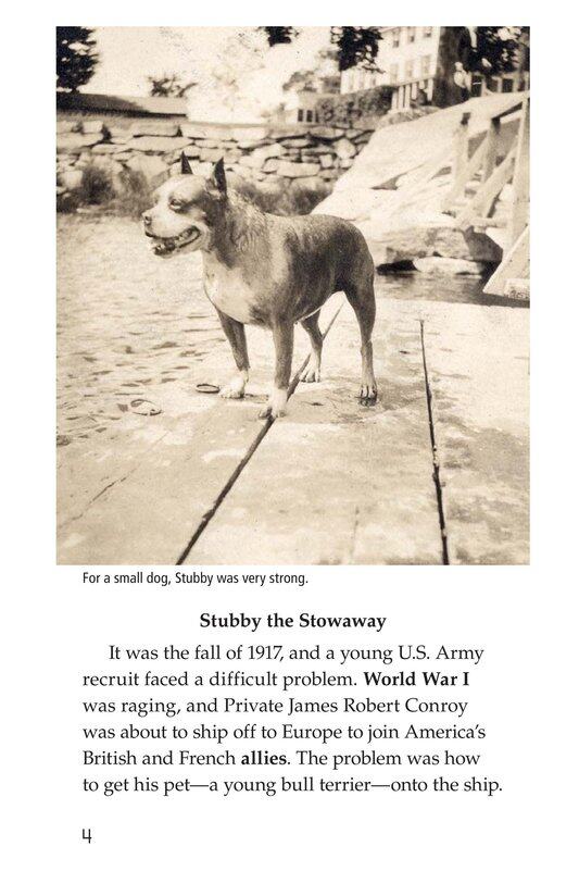 Sergeant Stubby绘本故事第3页