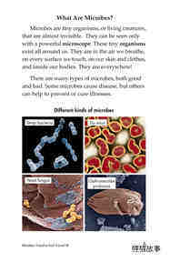 Microbes Friend or Foe绘本故事第4页