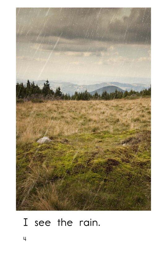 Rain in the Country绘本故事第4页