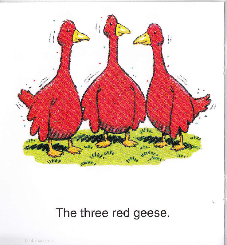 Three For Tea绘本故事第5页