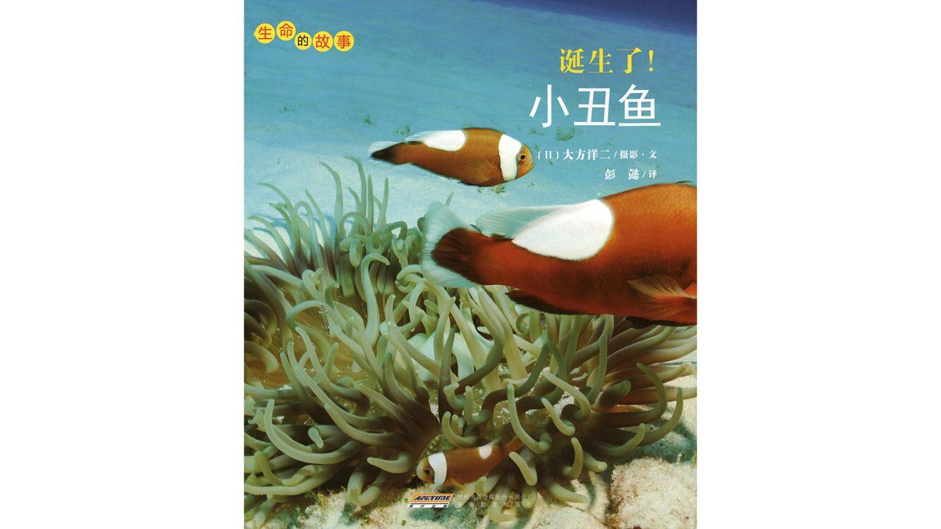 诞生了！小丑鱼绘本故事第2页