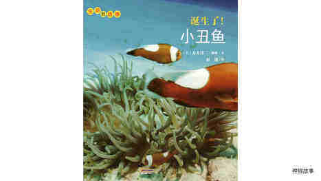 诞生了！小丑鱼绘本故事第2页