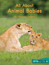 All about animal babies