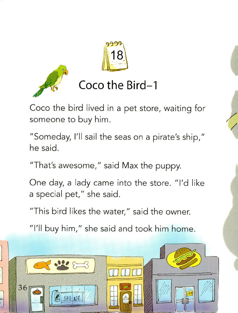 Coco the Bird-1绘本故事第2页