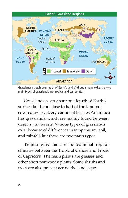 Grasslands绘本故事第5页