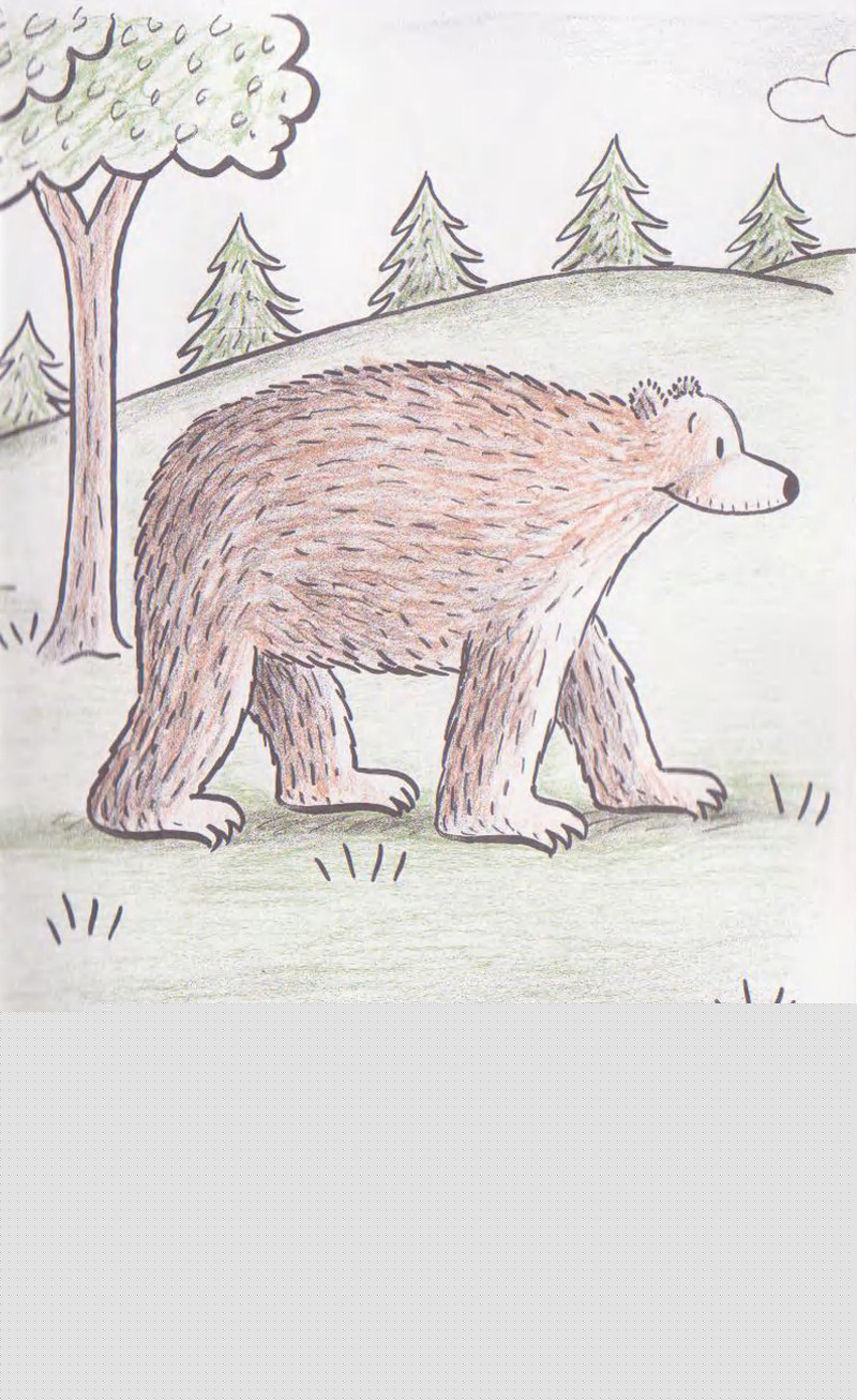 Grizzwold绘本故事第3页