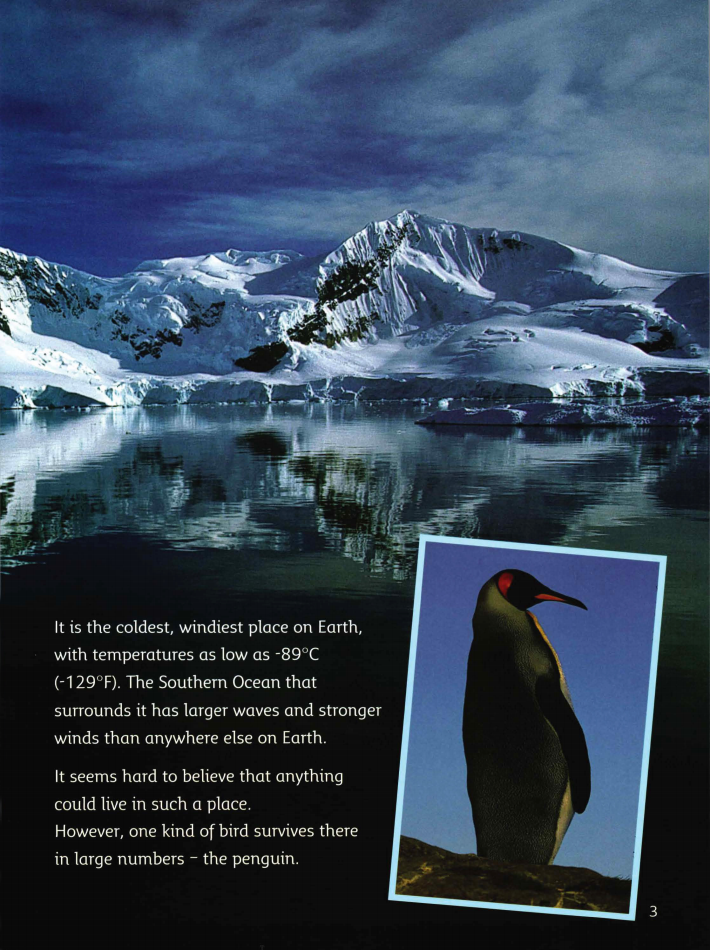 Antarctica Land of the Penguins绘本故事第4页