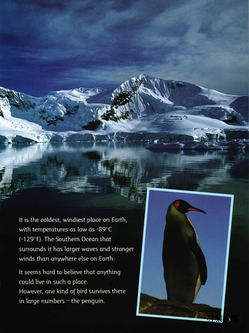Antarctica Land of the Penguins绘本故事第4页