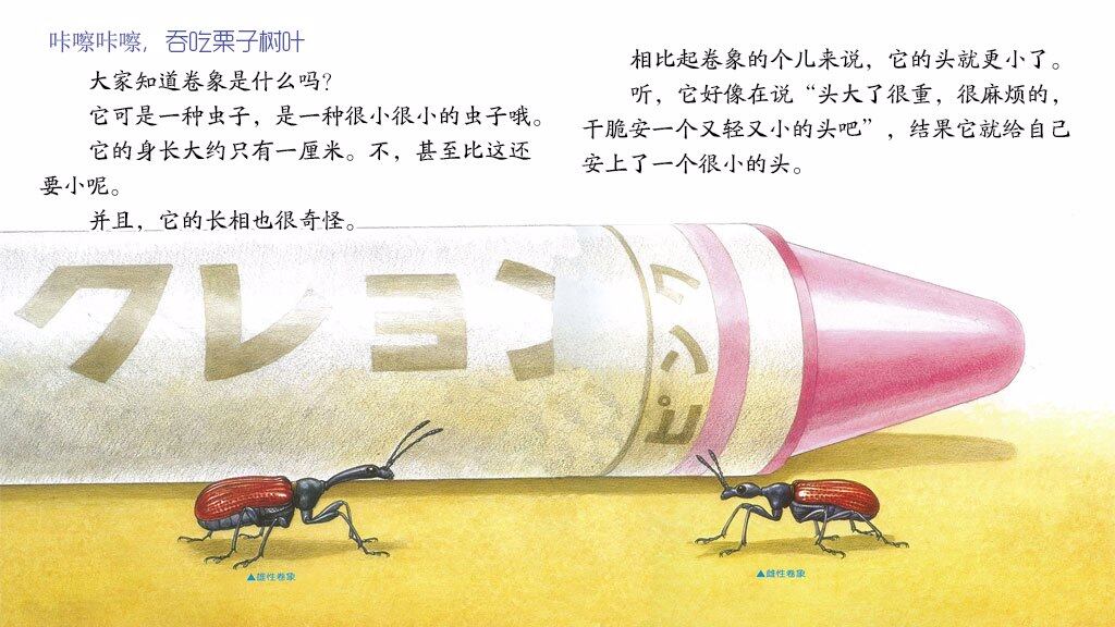 折纸游戏高手卷象绘本故事第4页