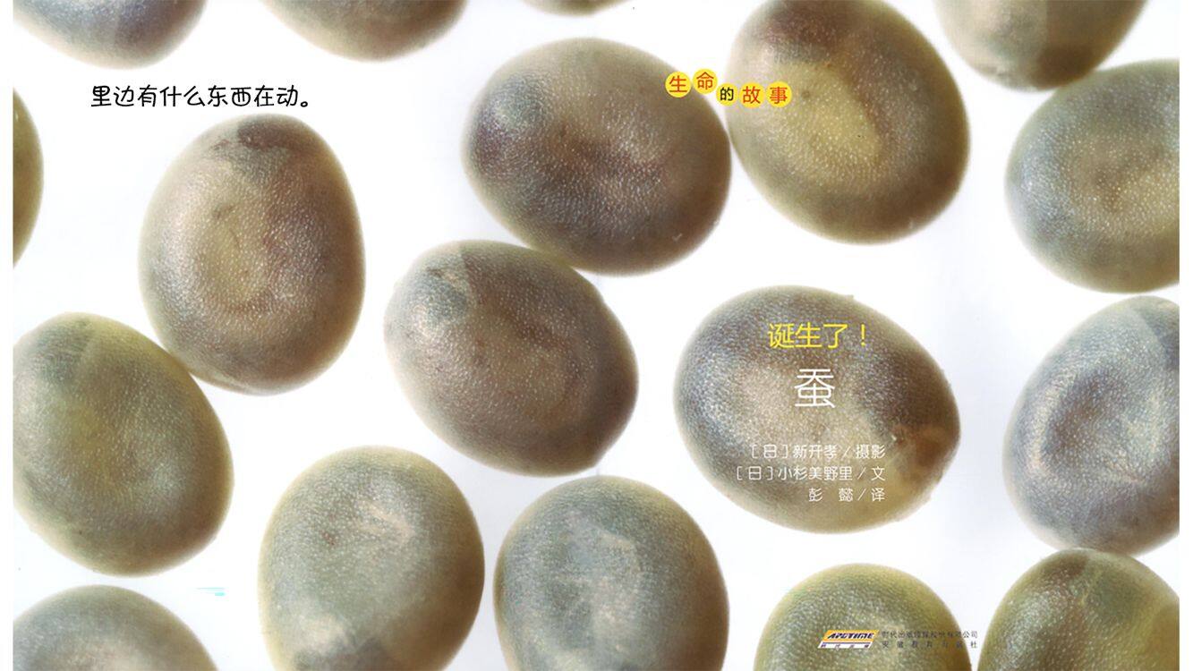 诞生了！蚕绘本故事第4页