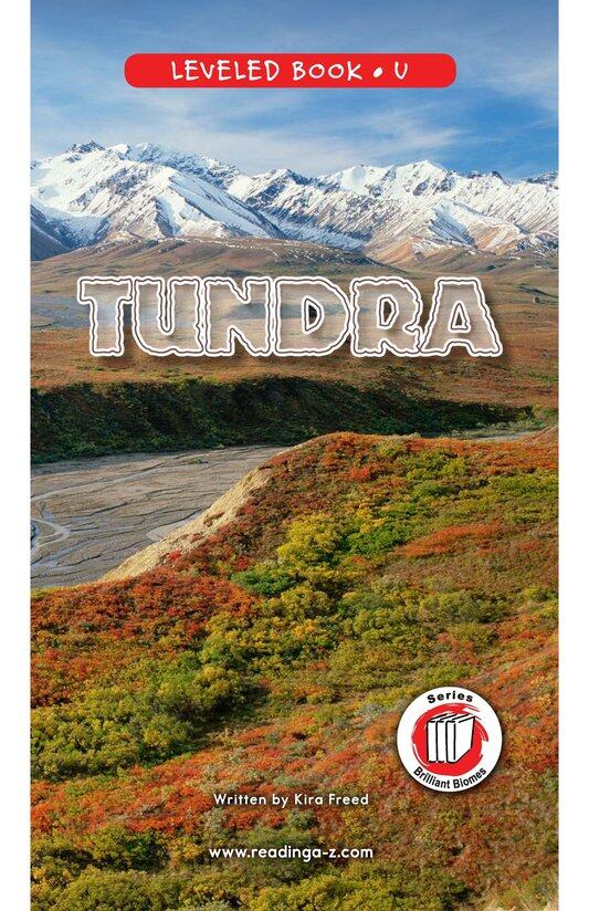 Tundra绘本故事第2页