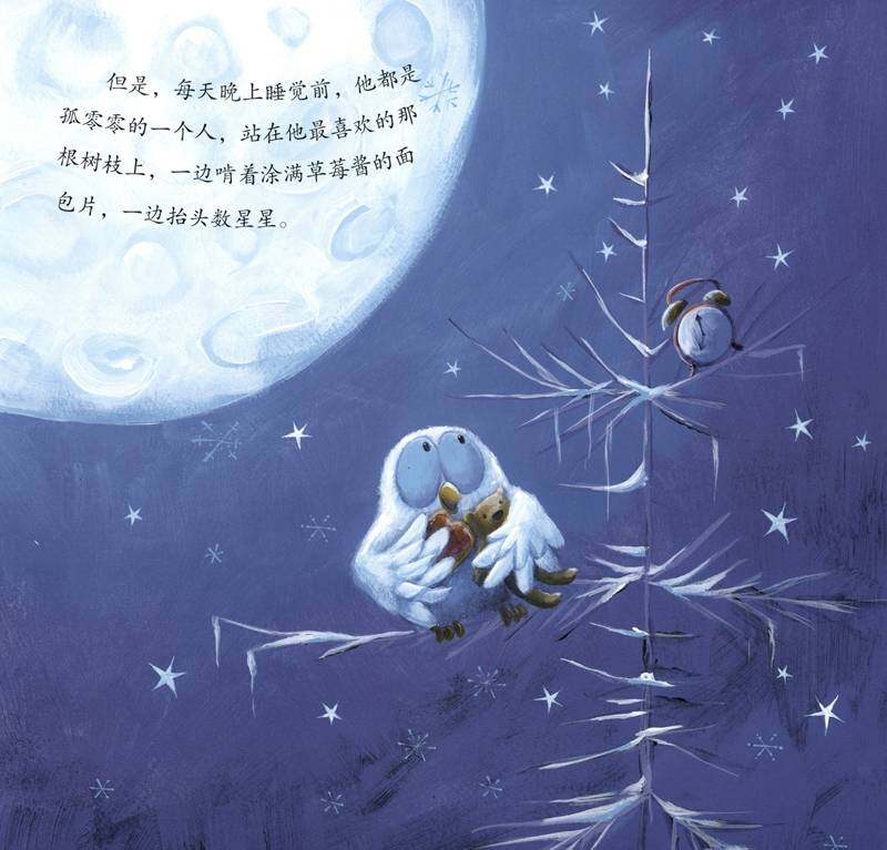 暖房子经典绘本·成长系列——白色的小猫头鹰绘本故事第4页