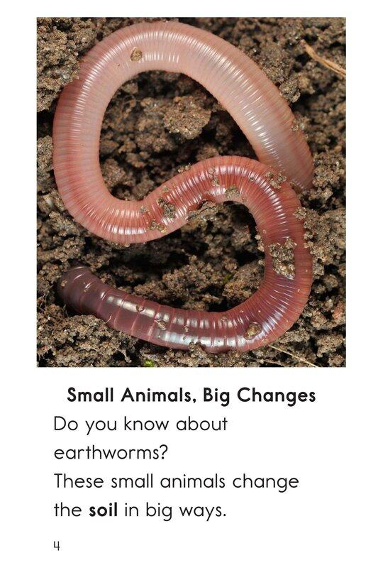 Wiggly Worms绘本故事第3页