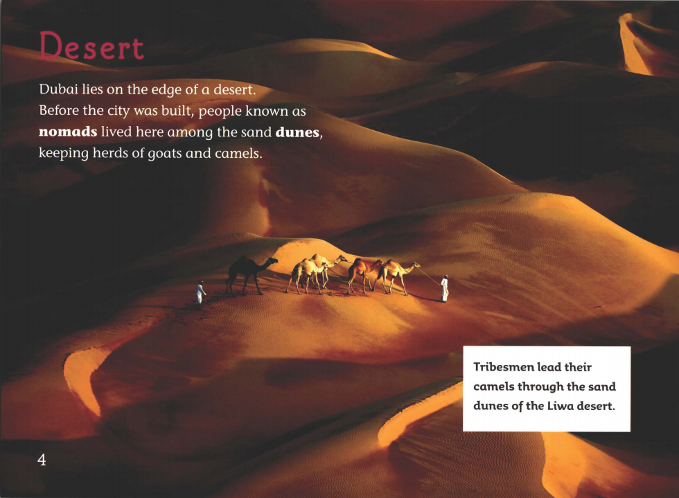 Dubai from the Sky绘本故事第5页