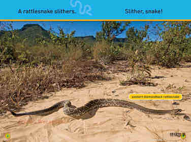 Slither Snake绘本故事第4页