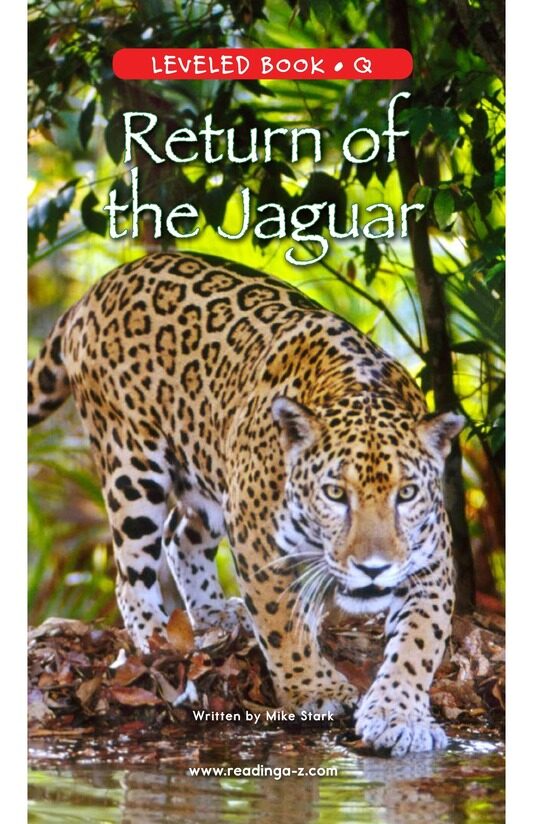 Return of the Jaguar绘本故事第2页