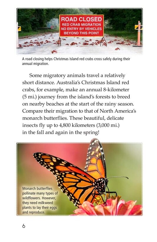 Amazing Migrations绘本故事第5页