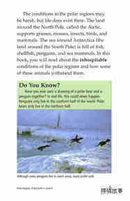Polar Regions Of The Earth绘本故事第4页