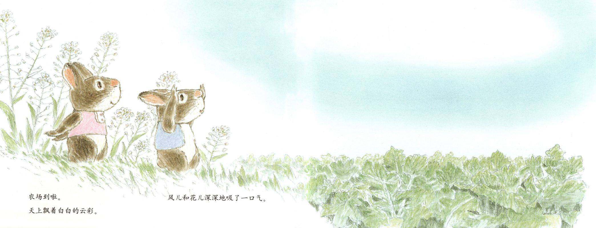 风儿花儿和鸡妈妈绘本故事第3页