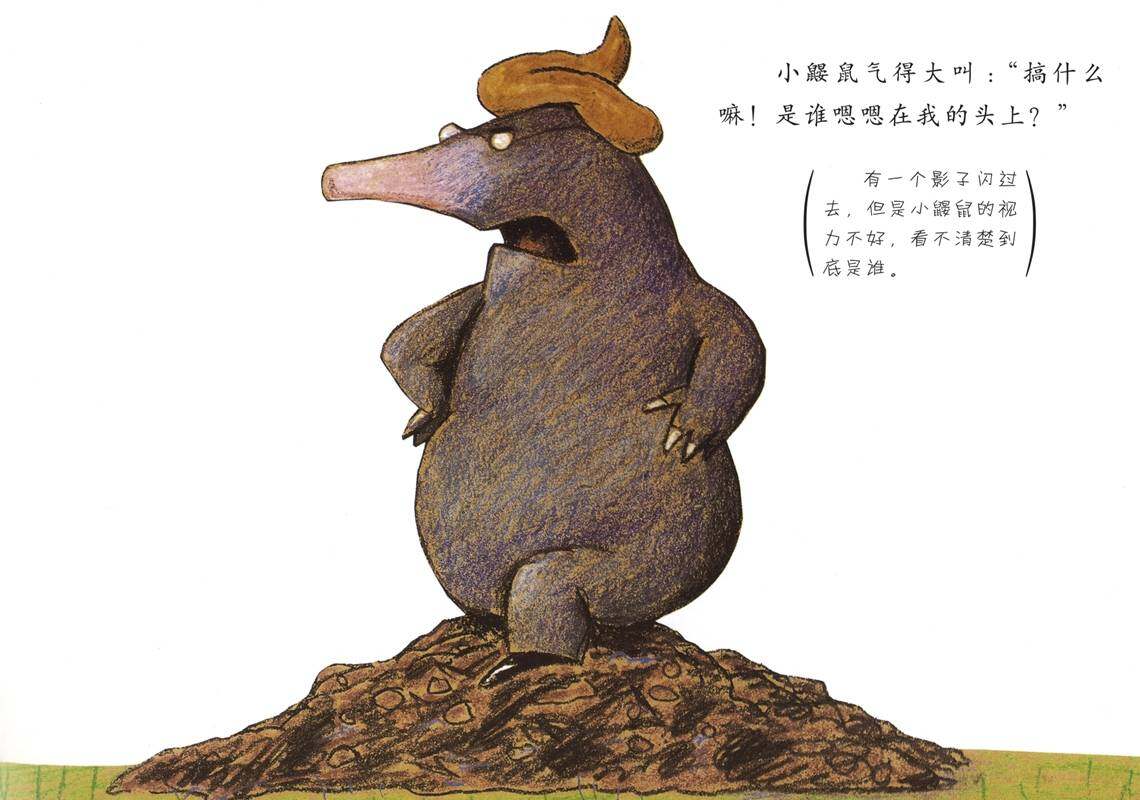 是谁嗯嗯在我的头上绘本故事第3页