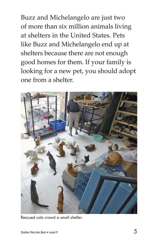Shelter Pets Are Best绘本故事第4页