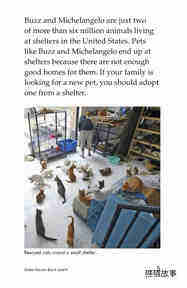 Shelter Pets Are Best绘本故事第4页