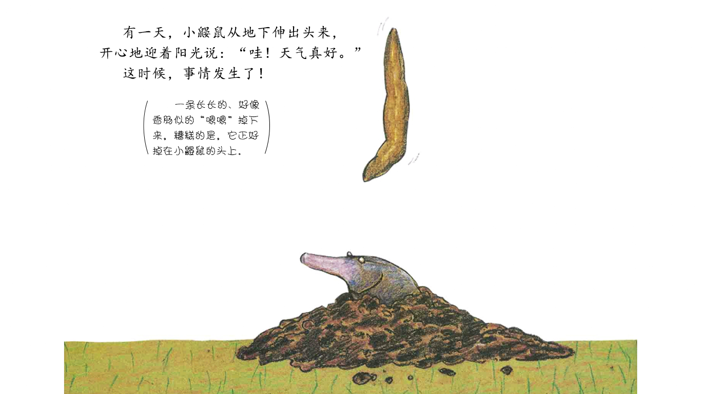 是谁嗯嗯在我的头上绘本故事第3页