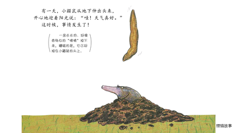是谁嗯嗯在我的头上绘本故事第3页