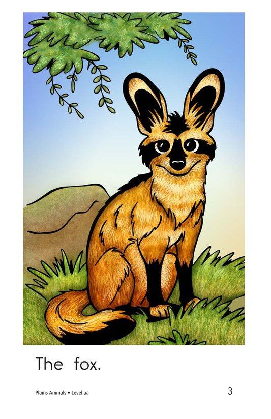 Plains Animals绘本故事第3页