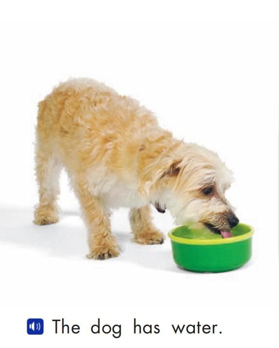 The dog绘本故事第4页