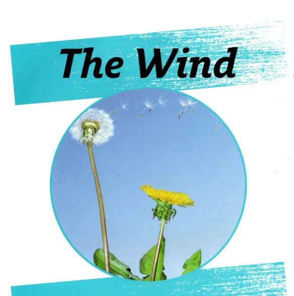 The Wind绘本故事第2页