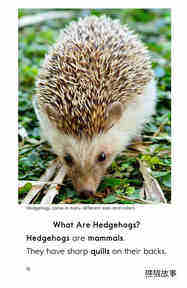 Hedgehogs绘本故事第3页
