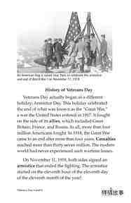 Veterans Day绘本故事第4页
