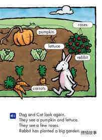 Dog and Cat and the Garden绘本故事第4页