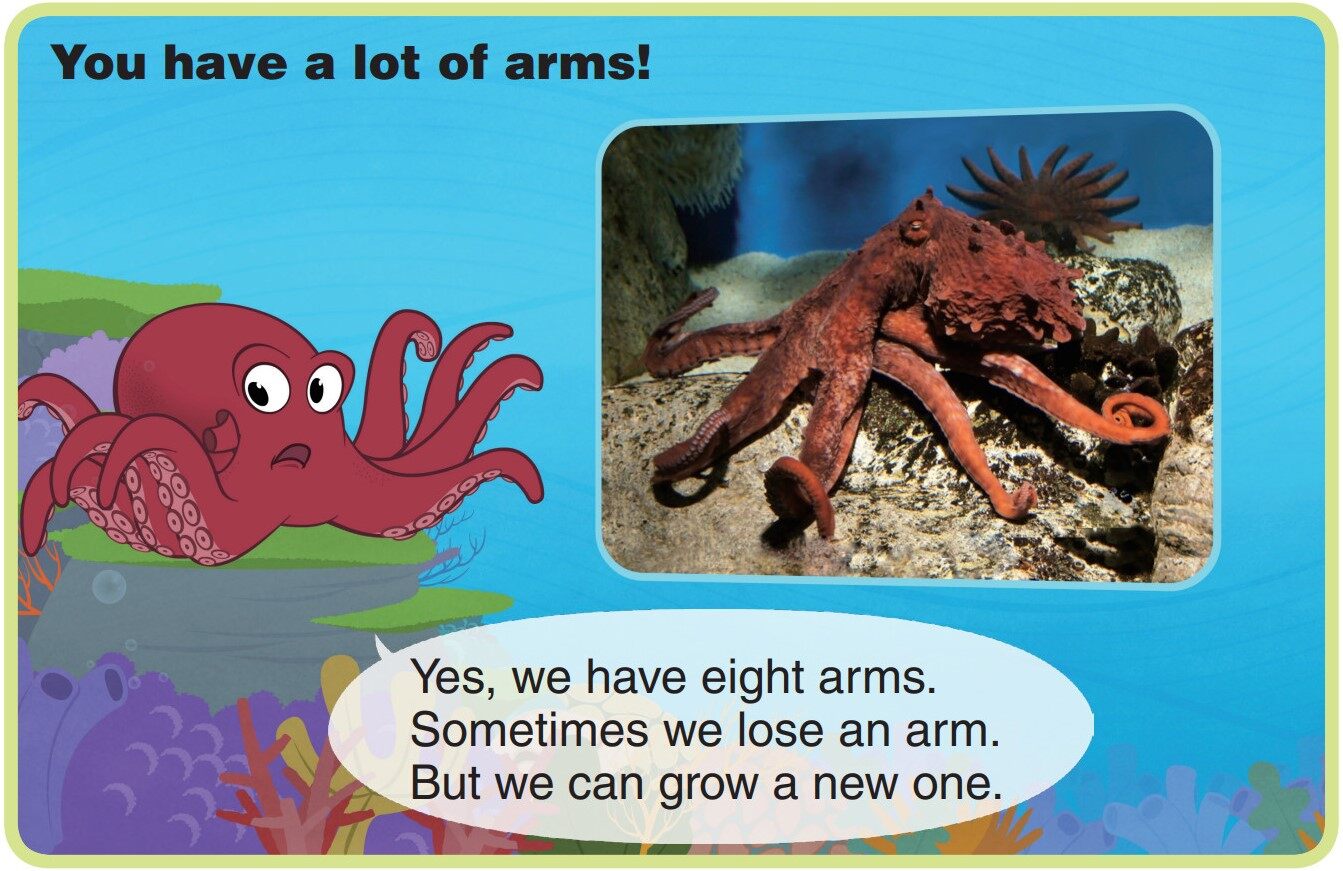 Octopus绘本故事第5页
