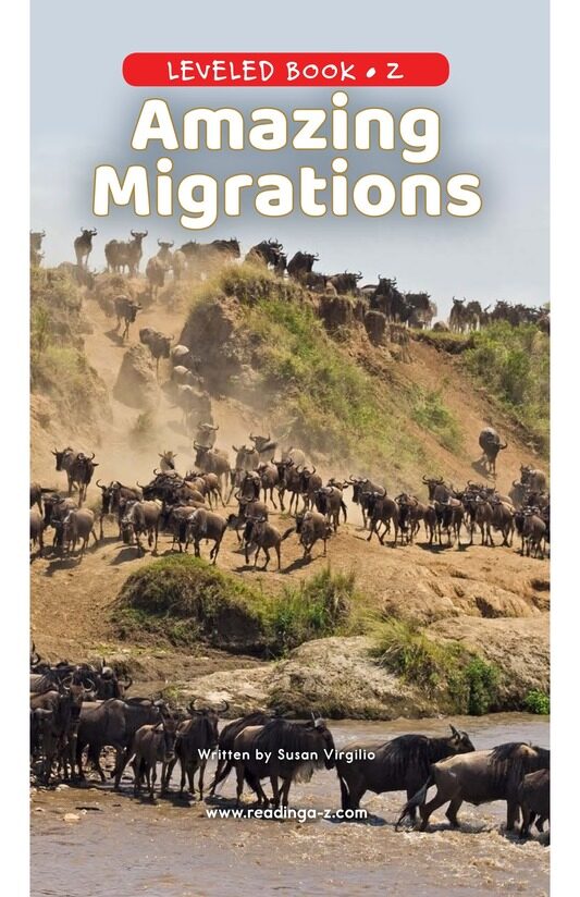 Amazing Migrations绘本故事第2页