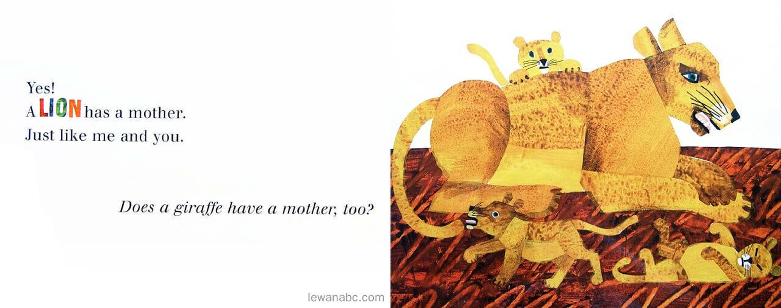 (9周)Does A Kangaroo Have A Mother,Too?绘本故事第5页