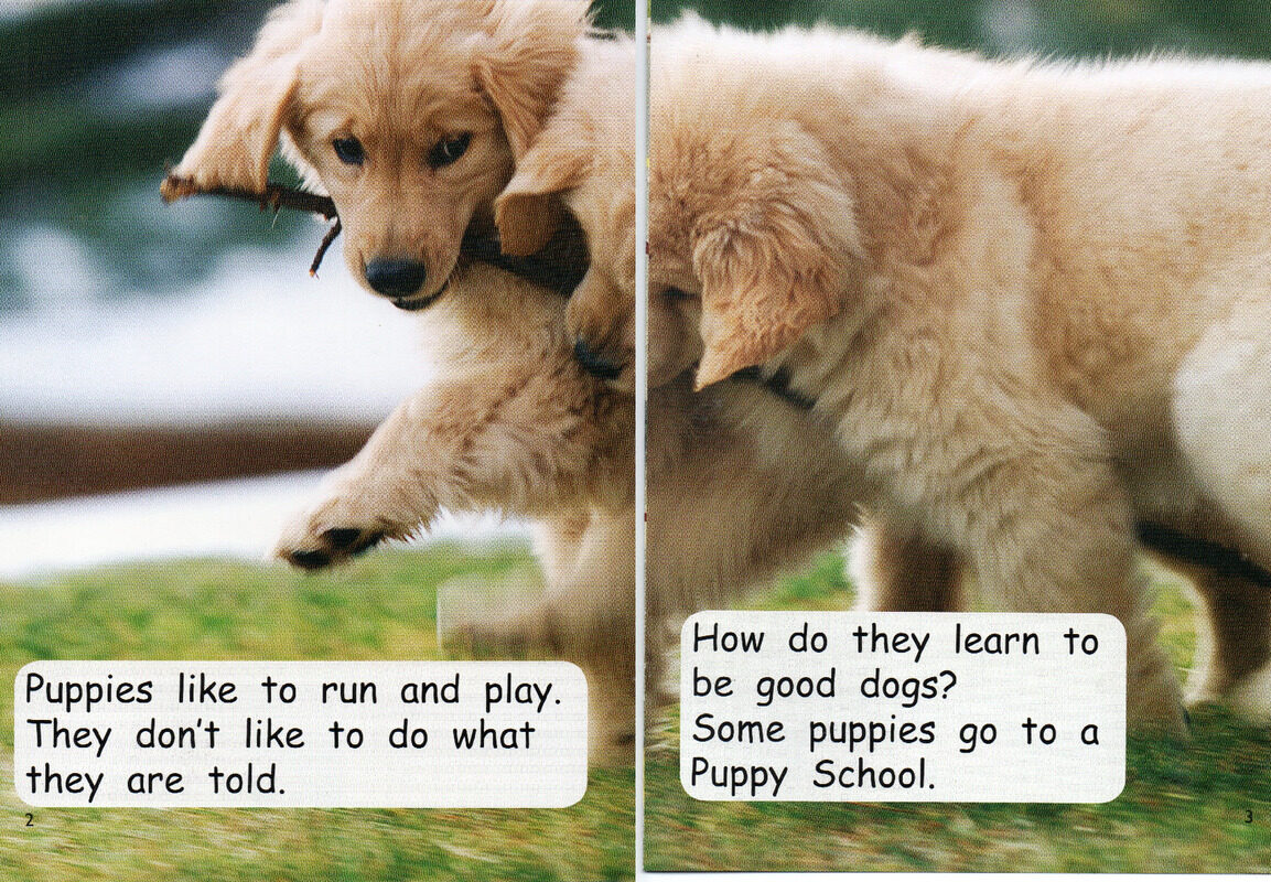 puppy school绘本故事第3页